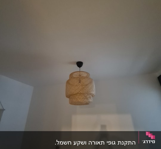 מנורת תקרה תלויה עם אהיל קלוע
